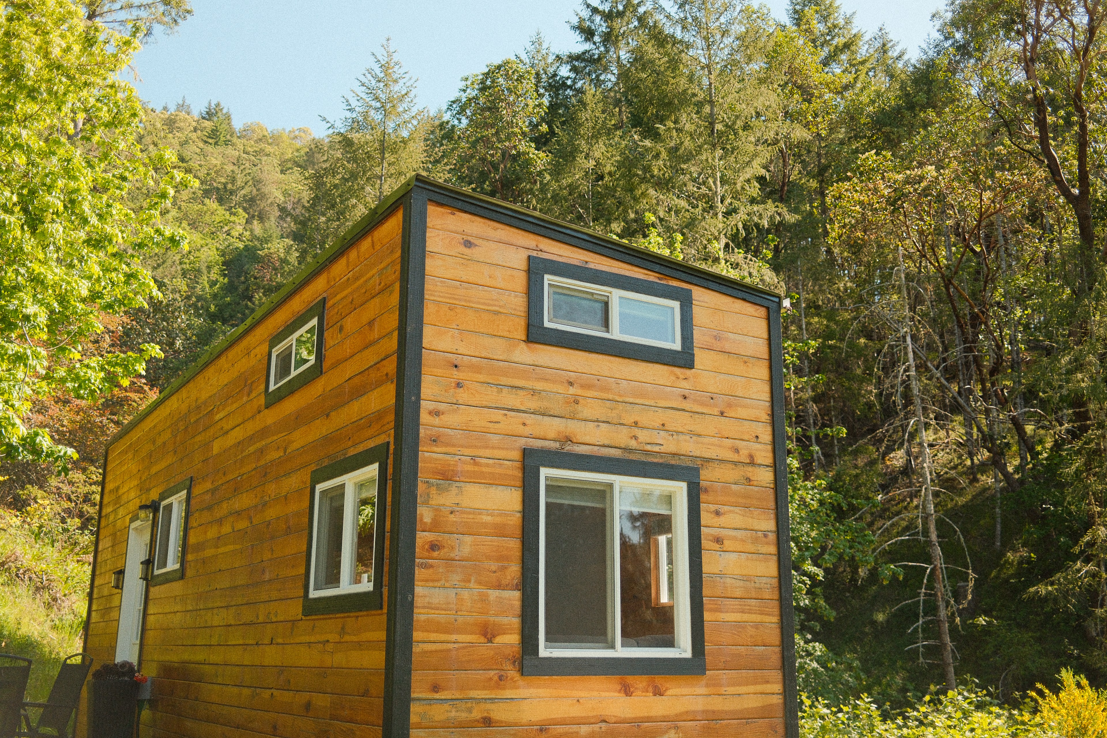 The tiny house is nestled amongst a forest of tall trees