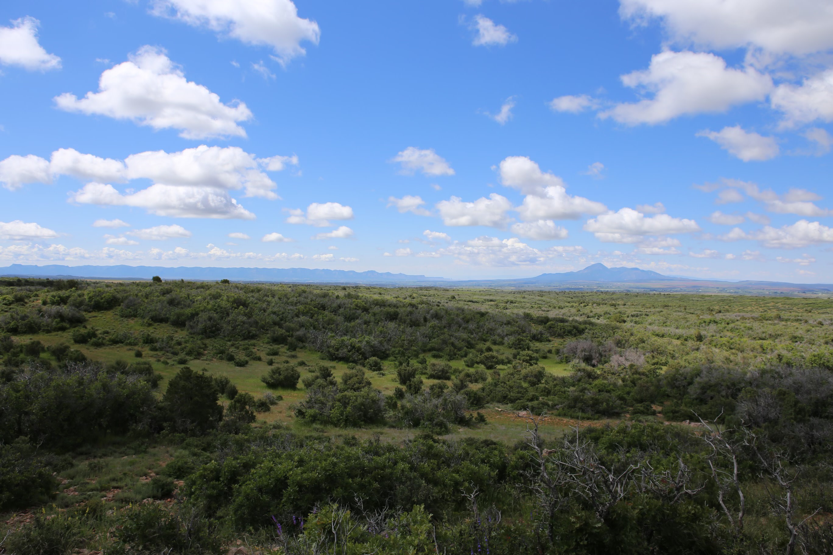 Dolores River Rim Camp
