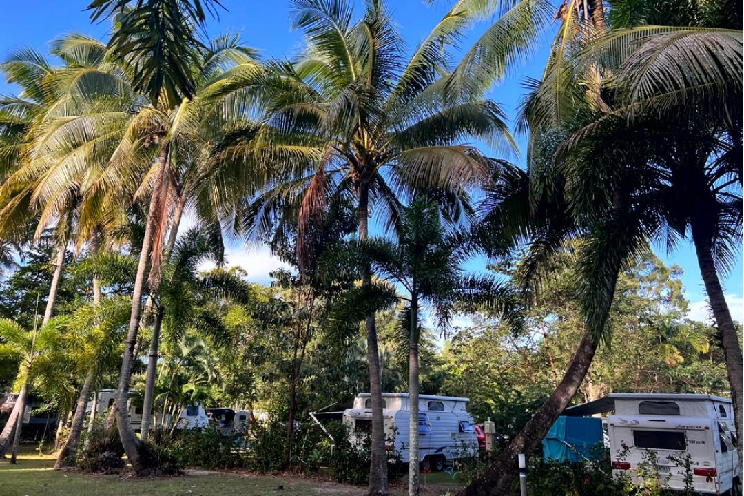 Daintree Beach Resort