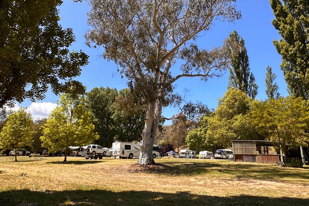 Omeo Holiday Park