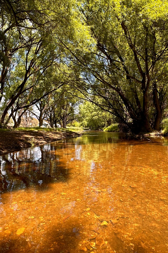 Omeo Holiday Park