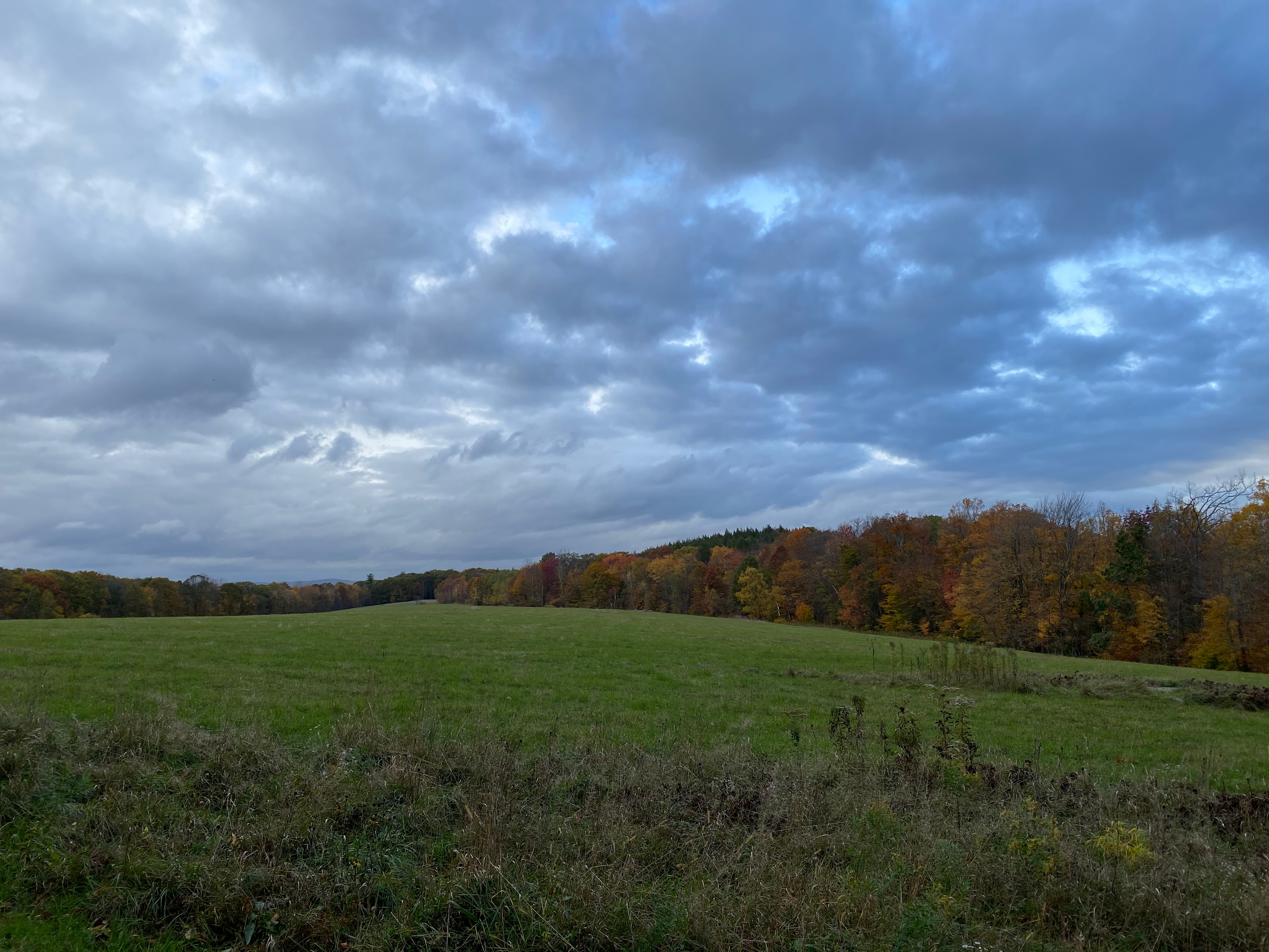 Goss Hill Campsite