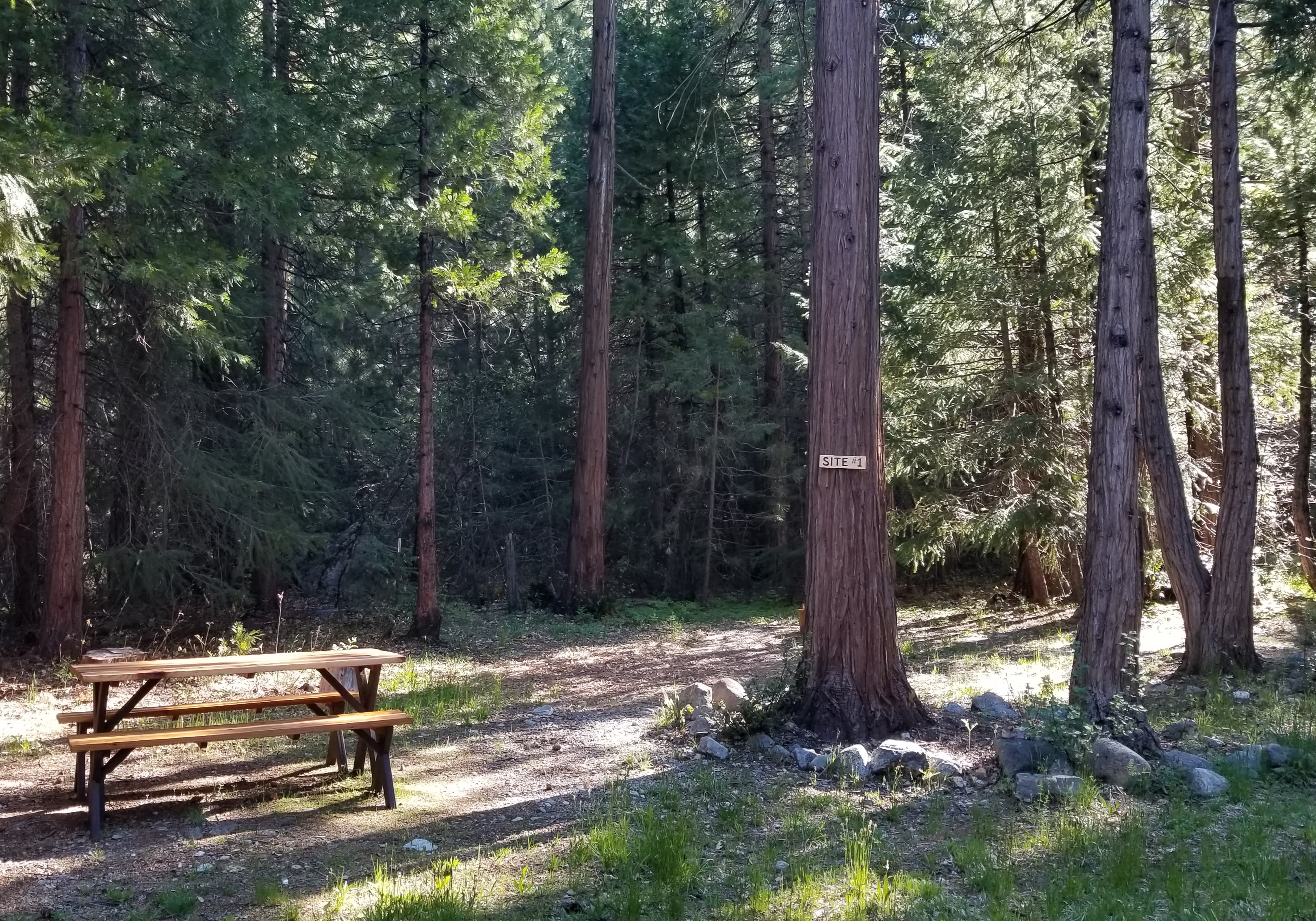 Bright Bear Camp in Tahoe NF