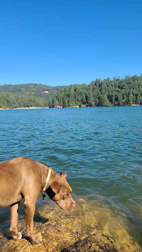 Orchard Springs Resort