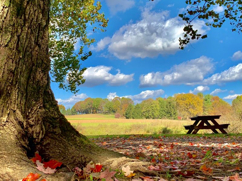 Old Mill Stream Campground