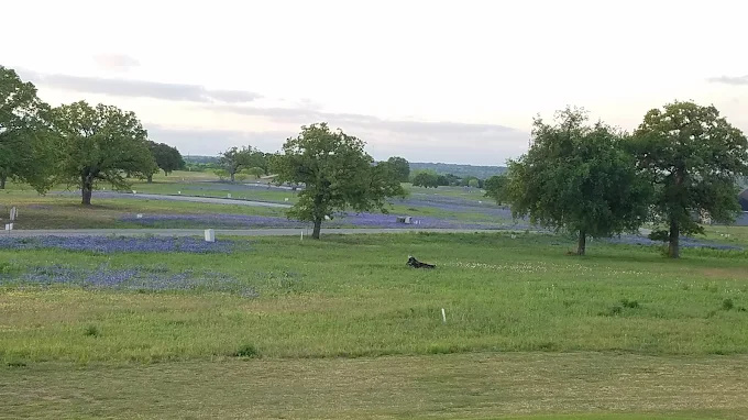 North Point Landing RV Park