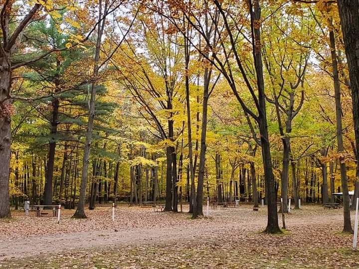Oak Grove Campground
