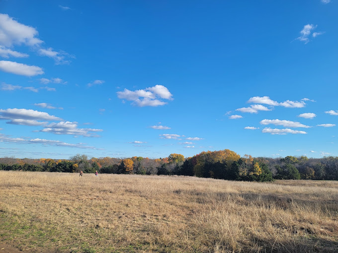 Erwin Park