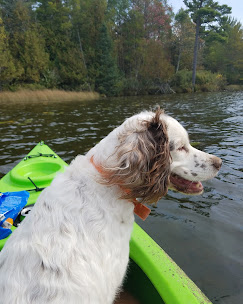 Tranquil Vista Campground