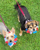 Tranquil Vista Campground