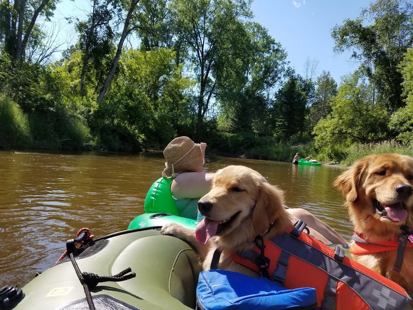 Whites Canoe Livery & Campground