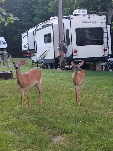 Caffrey Recreation Area
