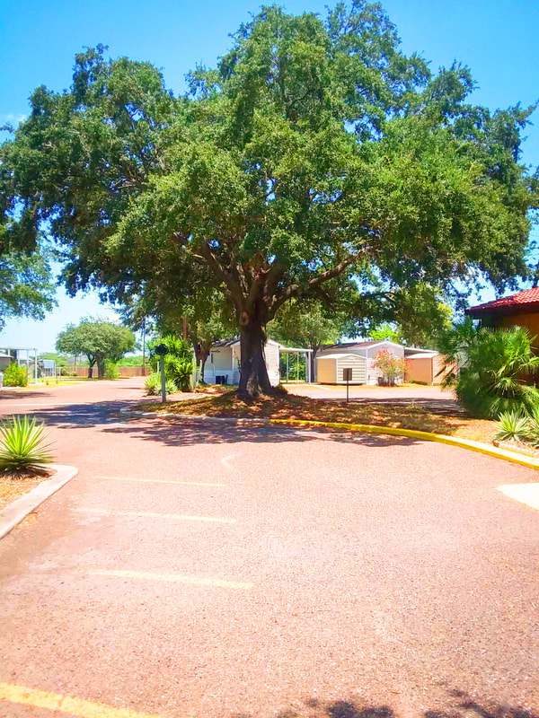 Fig Tree RV Resort
