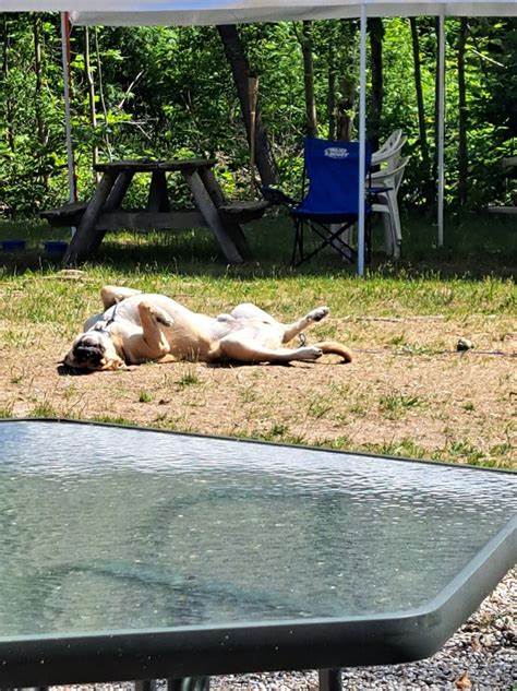 Bullocks Paul Bunyan Campground