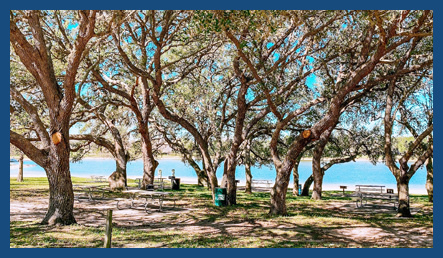 Coleto Creek Park and Reservoir