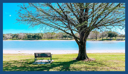 Coleto Creek Park and Reservoir