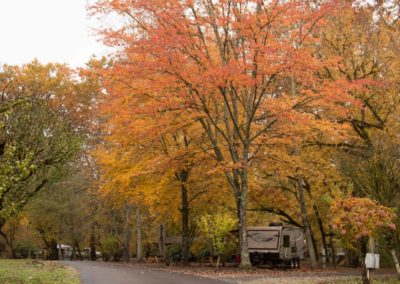 Peachtree Cove RV Park