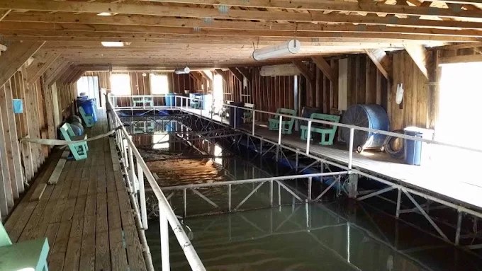 Duck Cove Marina and RV Park