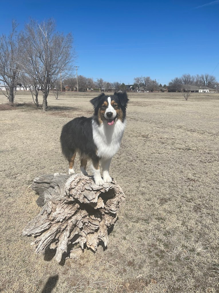 Comanche Campground and RV Park