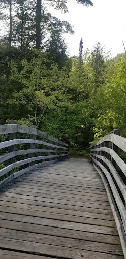 McClintock Park