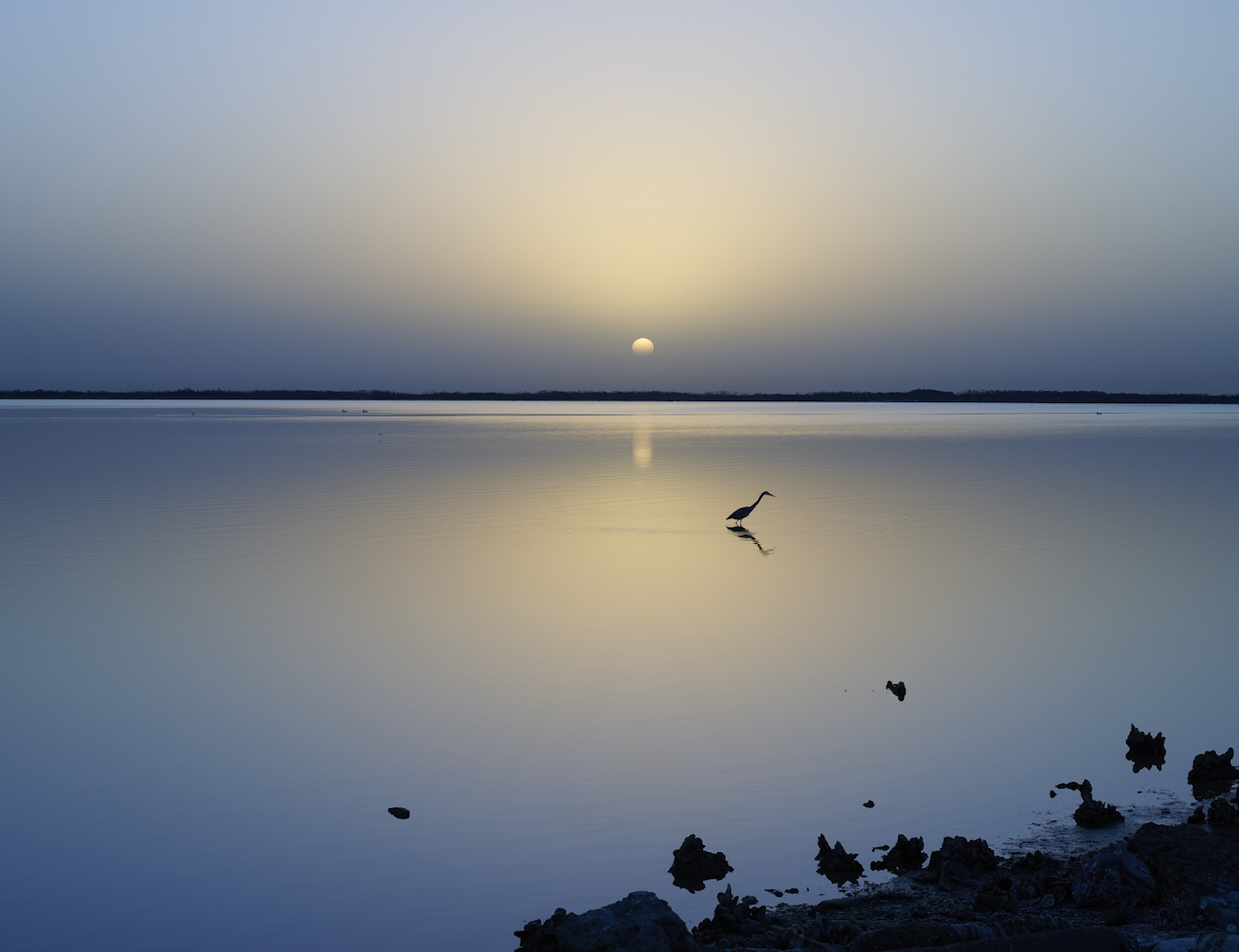 Hidden Oaks RV Resort