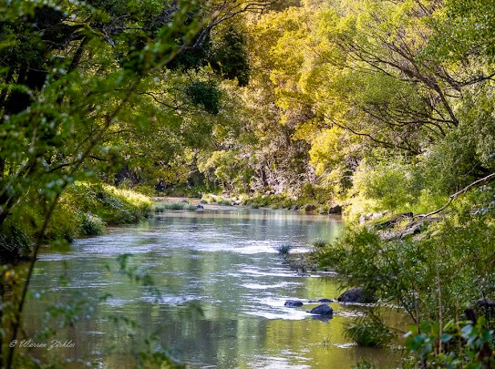 Jessria Eco Shalom Nature  Farm