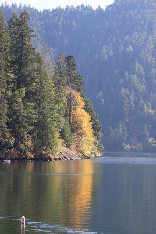 Loon Lake Lodge and RV Resort