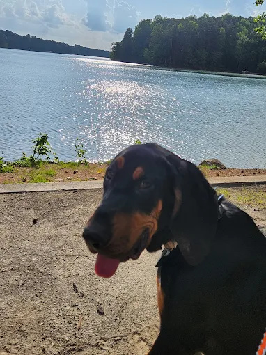Salacoa Creek Park