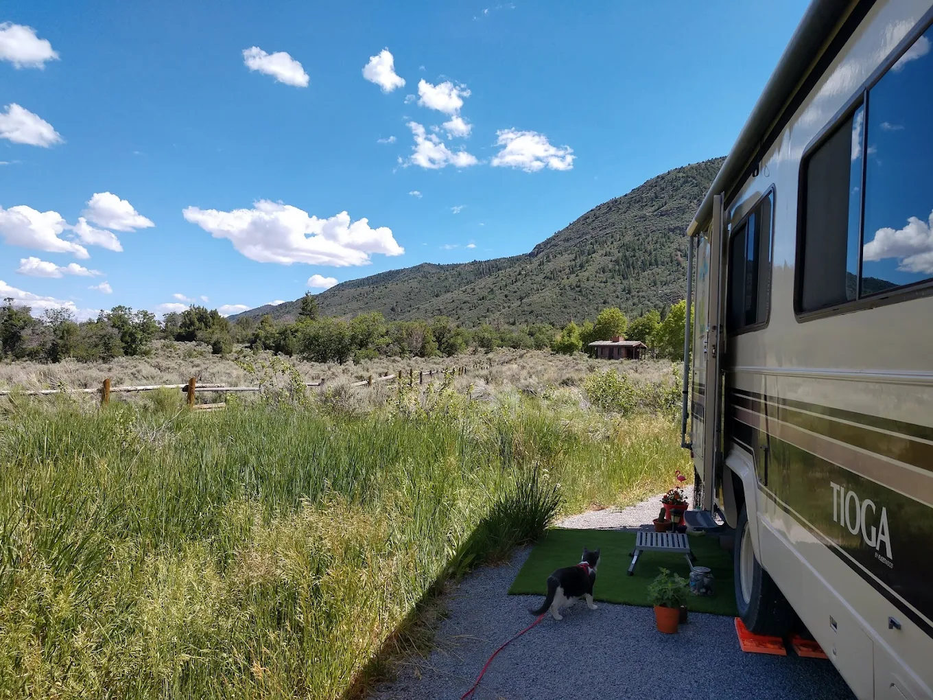 Maple Grove Camp Ground