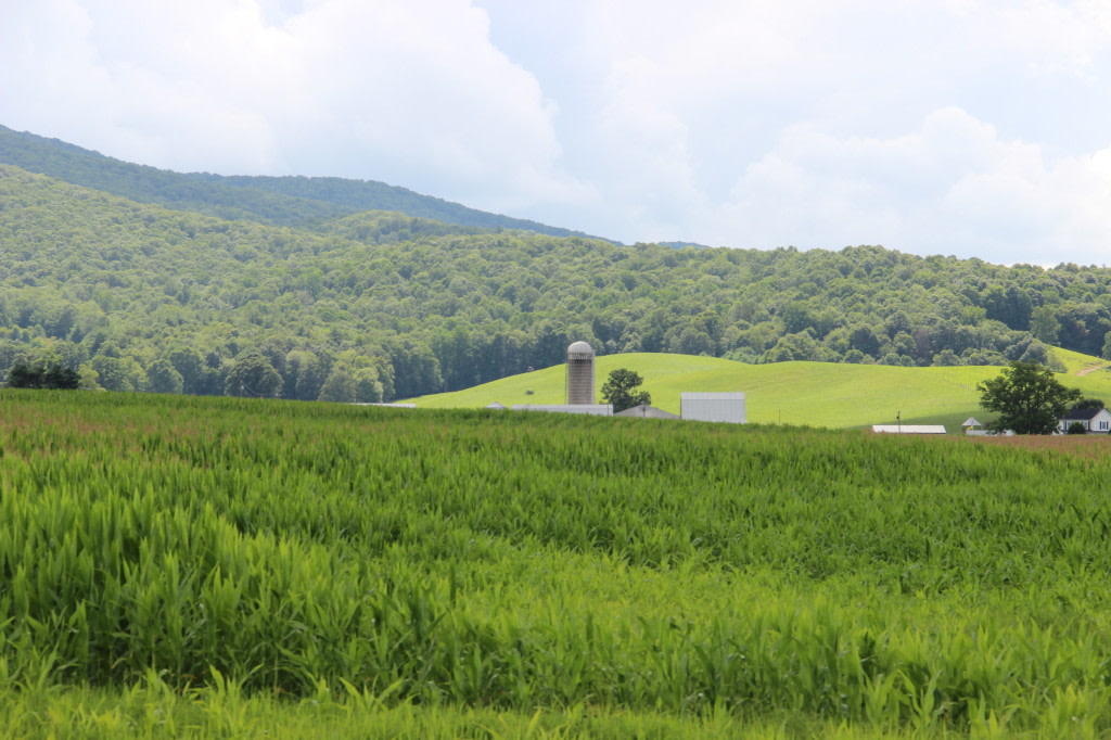 Rural Retreat Lake Par
