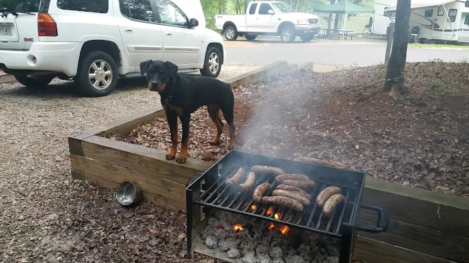 Old Salem Park by Georgia Power