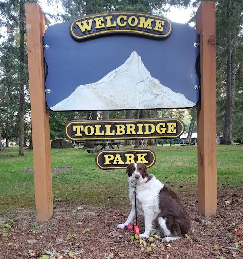 Toll bridge Park