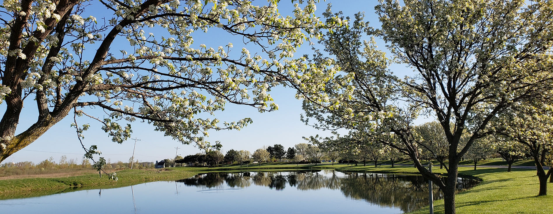 The Resort at Erie Landing