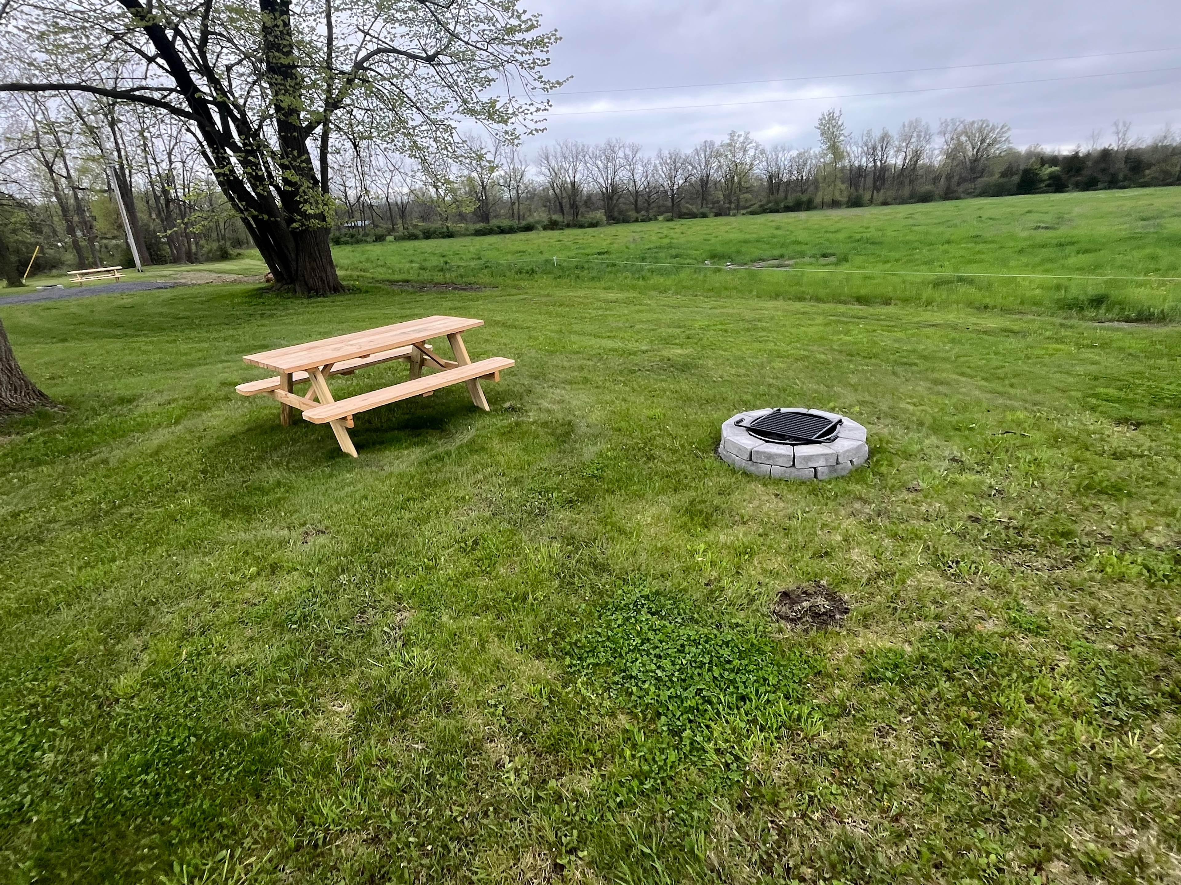 Little Spring Haven
