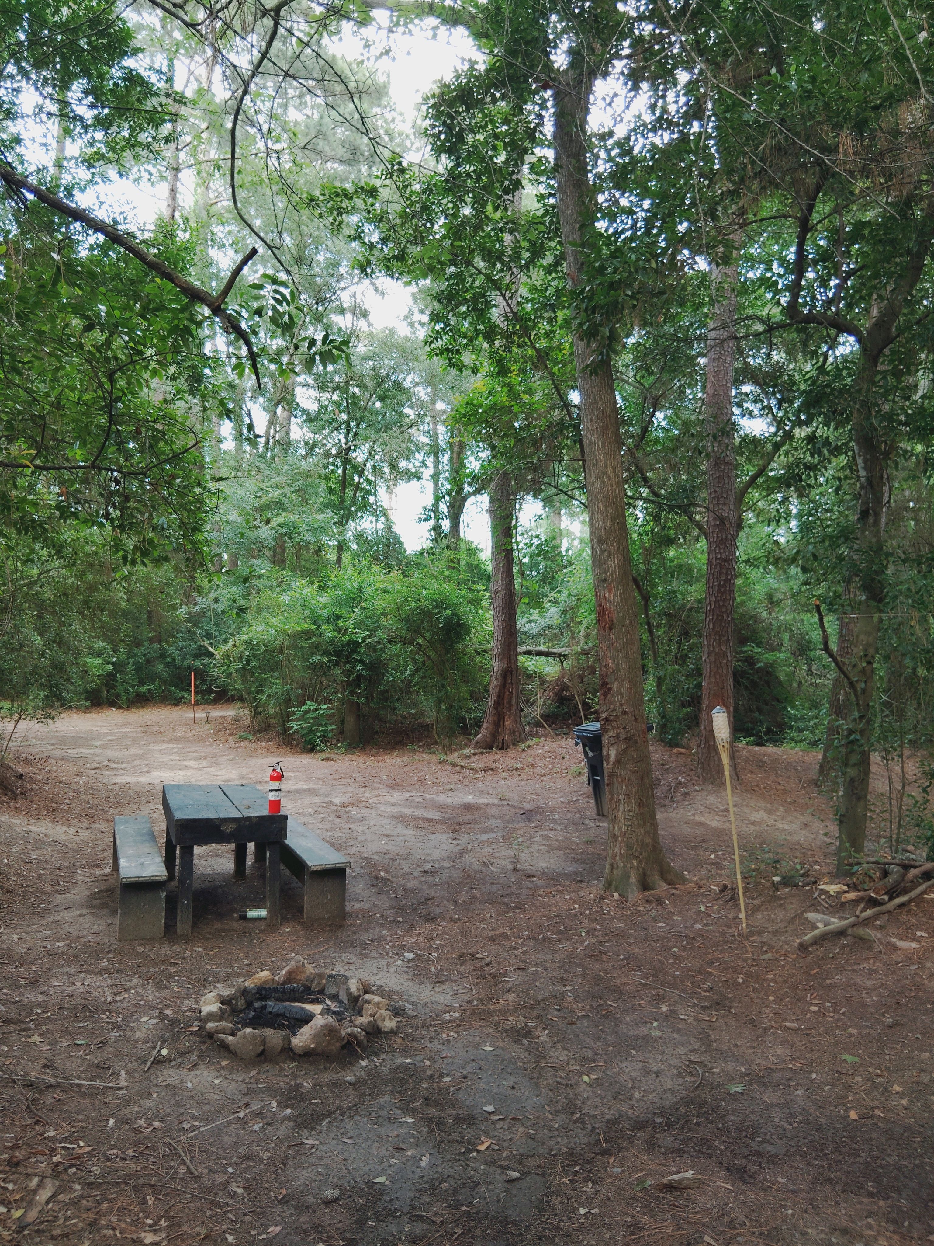 A cozy campsite tucked beneath tall trees, featuring a picnic table and a stone-lined fire pit—perfect for outdoor meals and evening s’mores.

