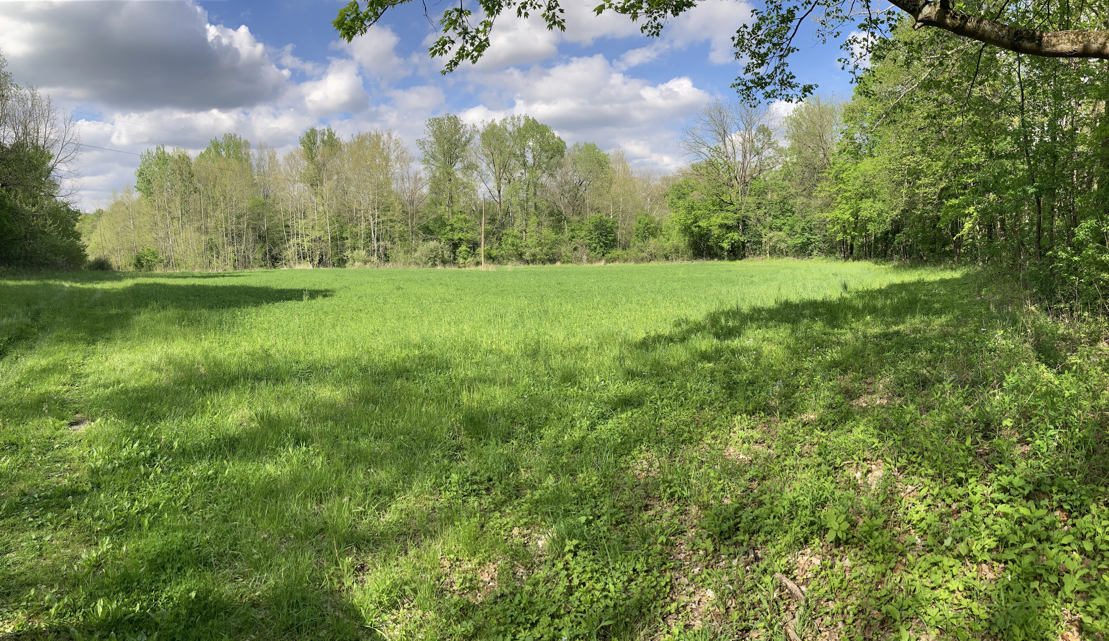 Owl Hollow Campground