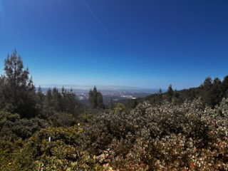 Santa Cruz Mountains with ocean 👁