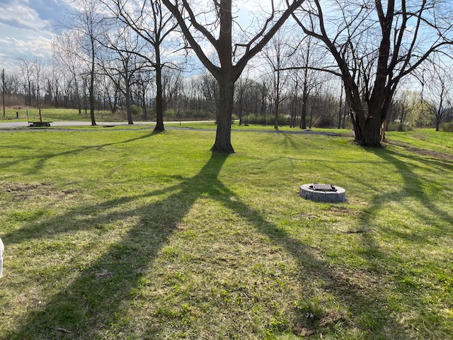 Little Spring Haven