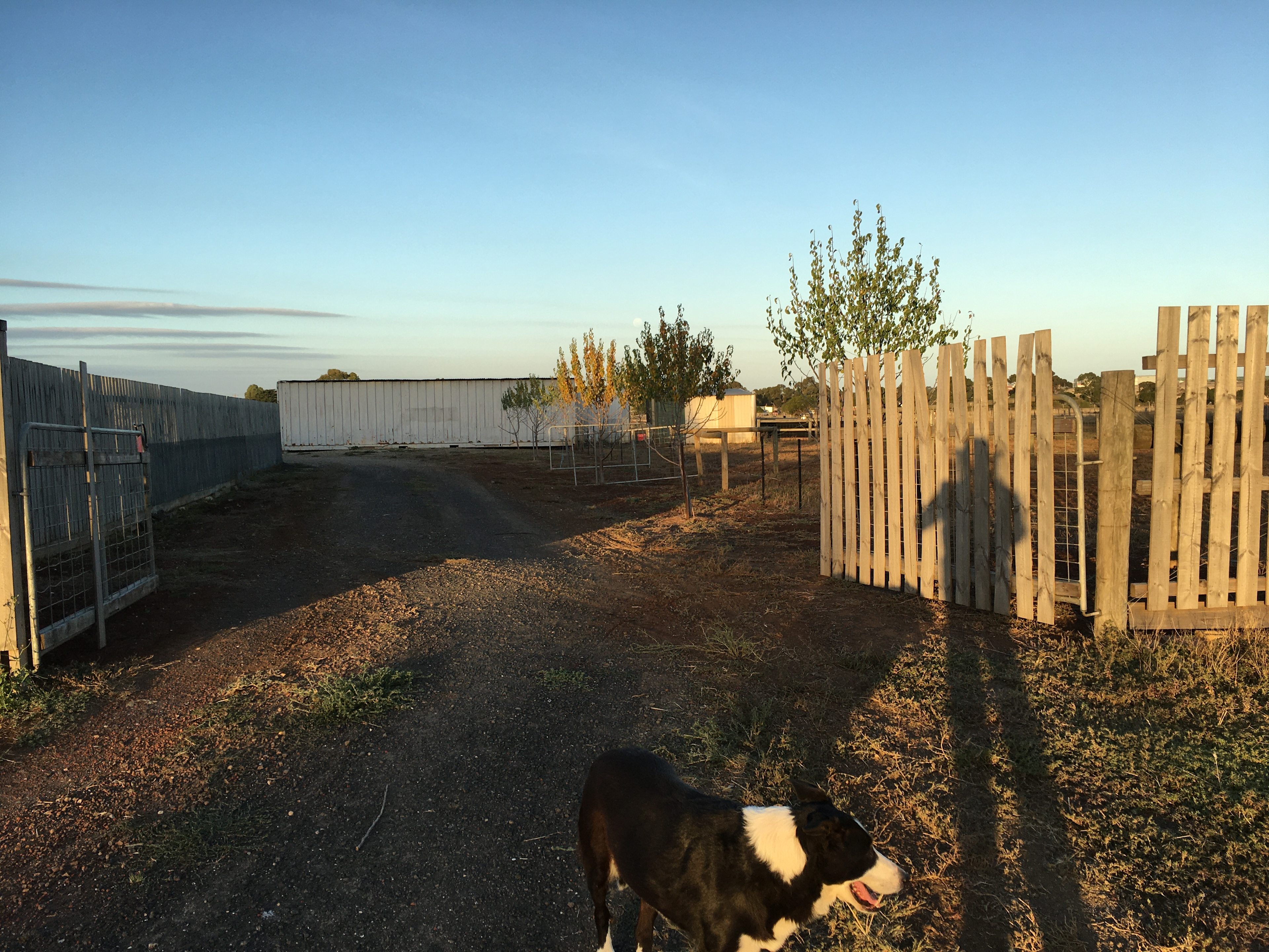 Lara Hobby Horse Centre