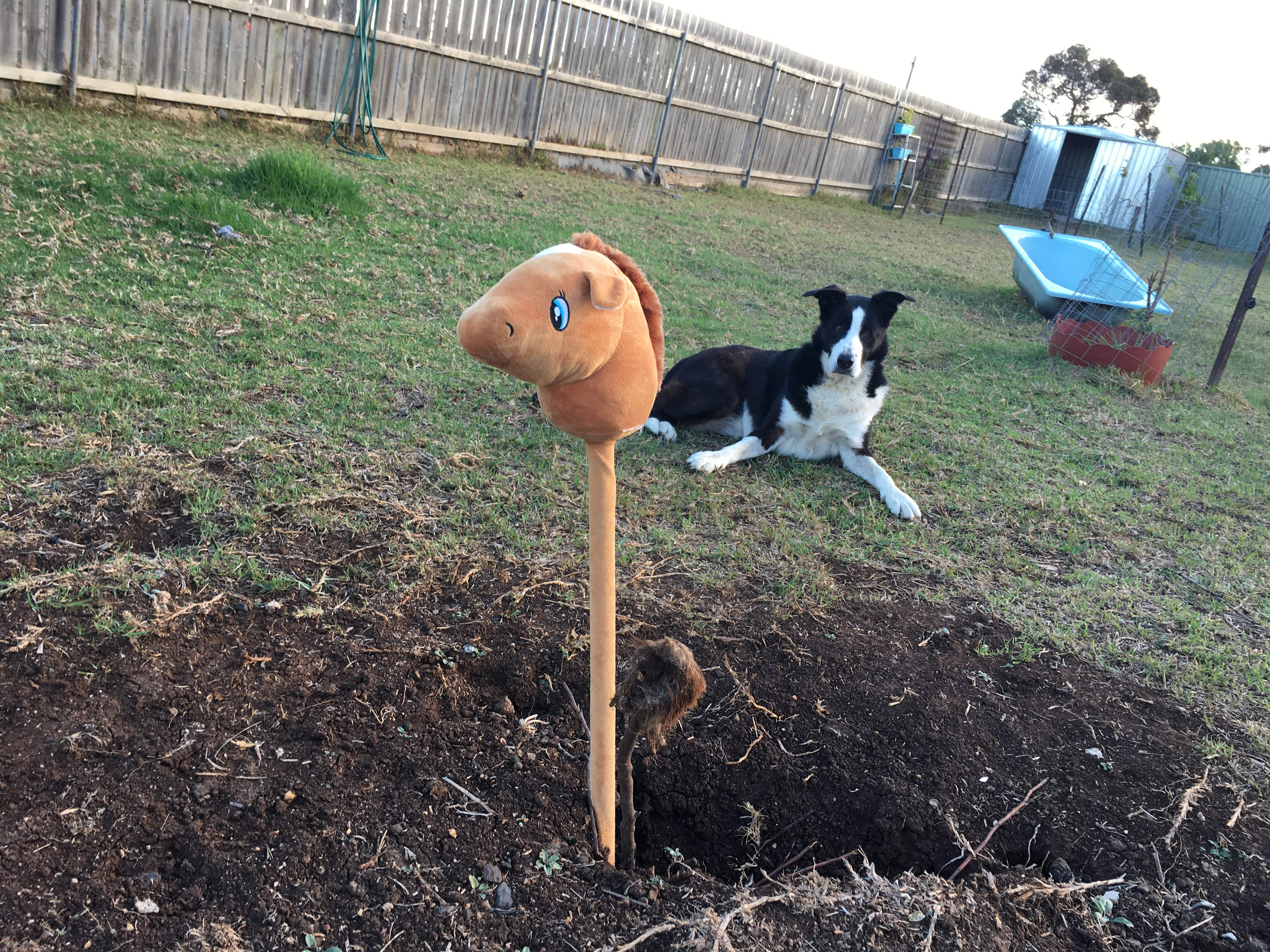 Lara Hobby Horse Centre