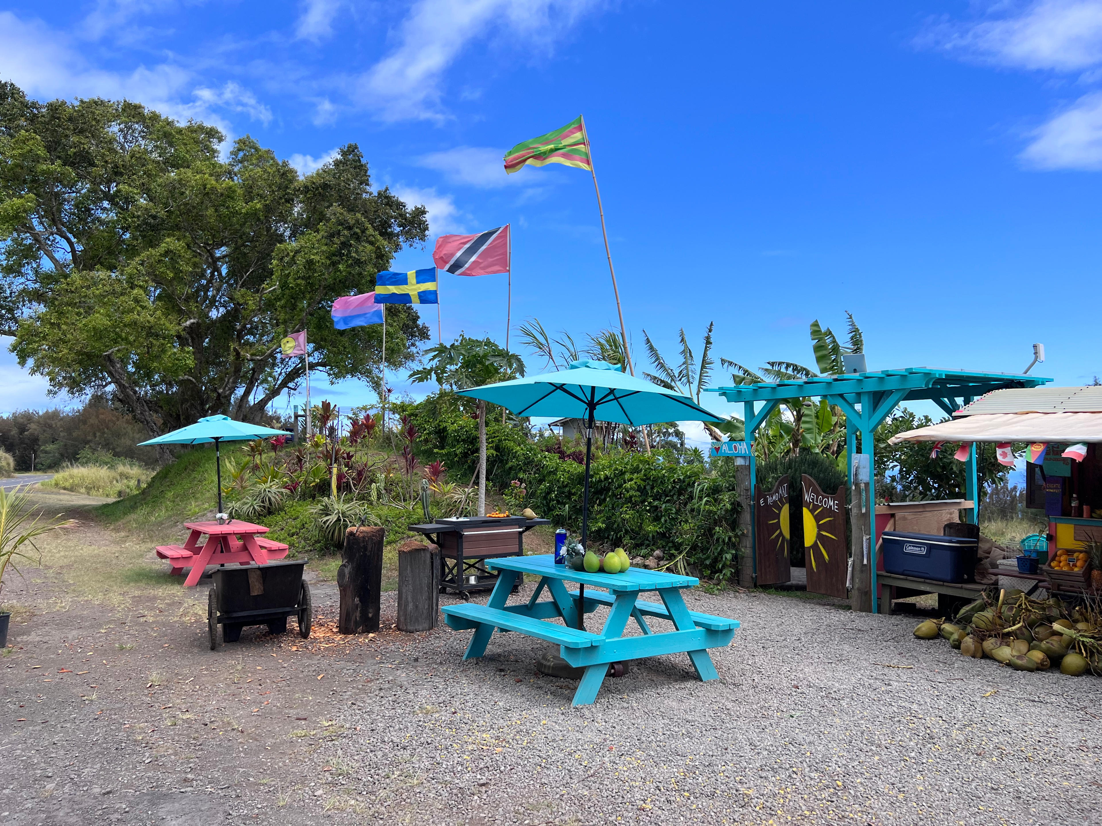 Roadside Fruit Stand Exotic Orchard