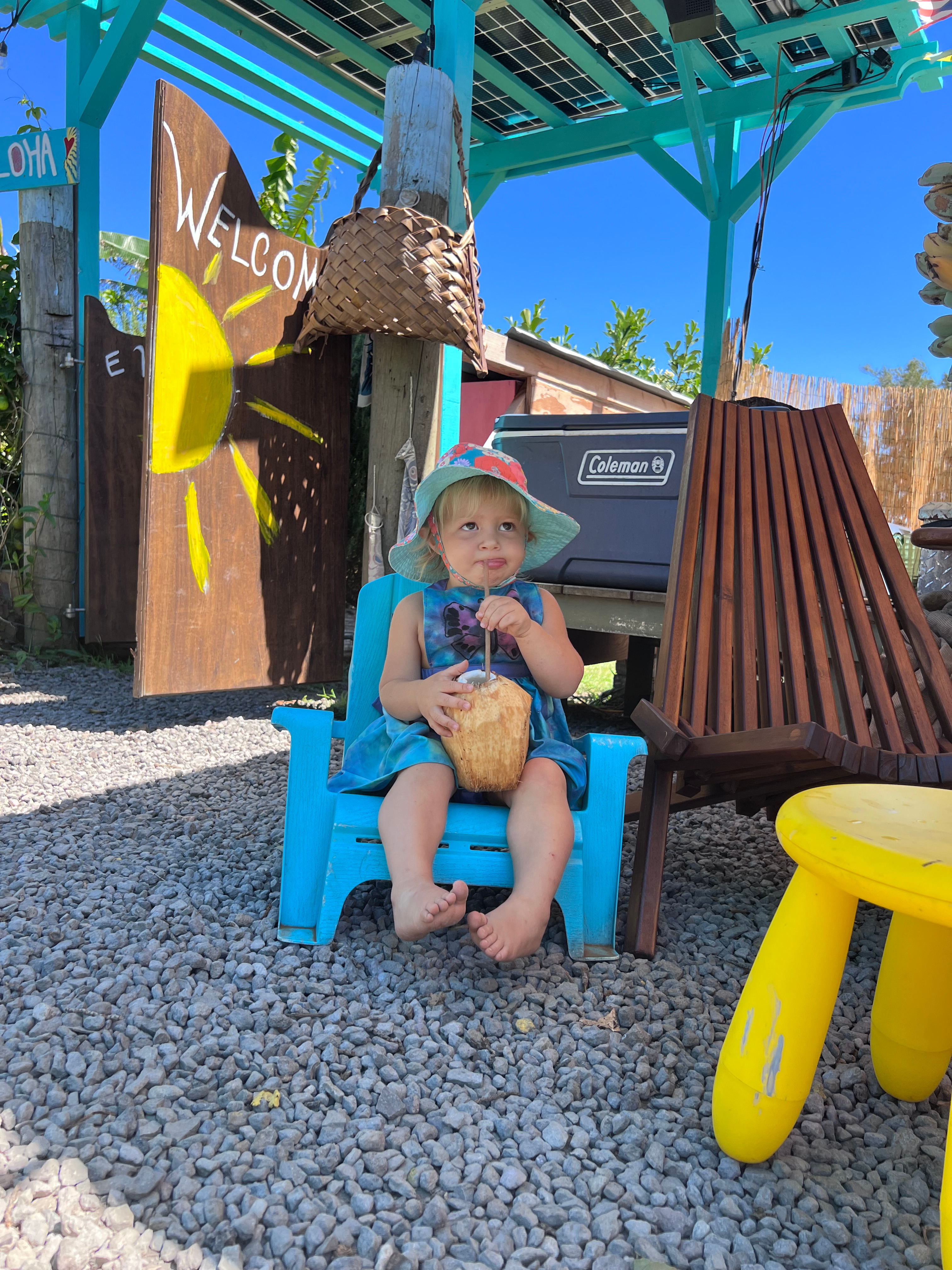 Roadside Fruit Stand Exotic Orchard