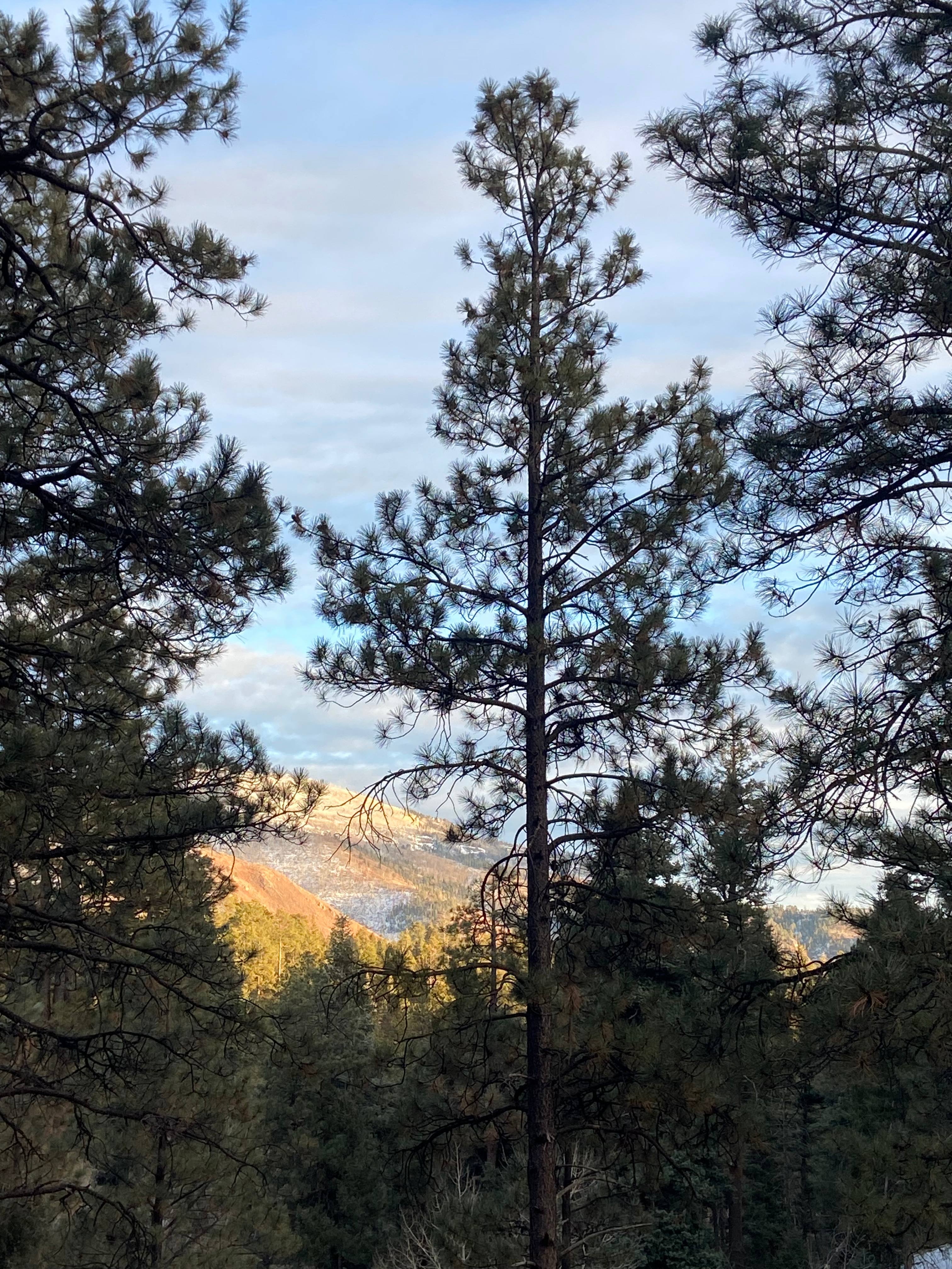 Jemez Mountains A-Frame Cabin
