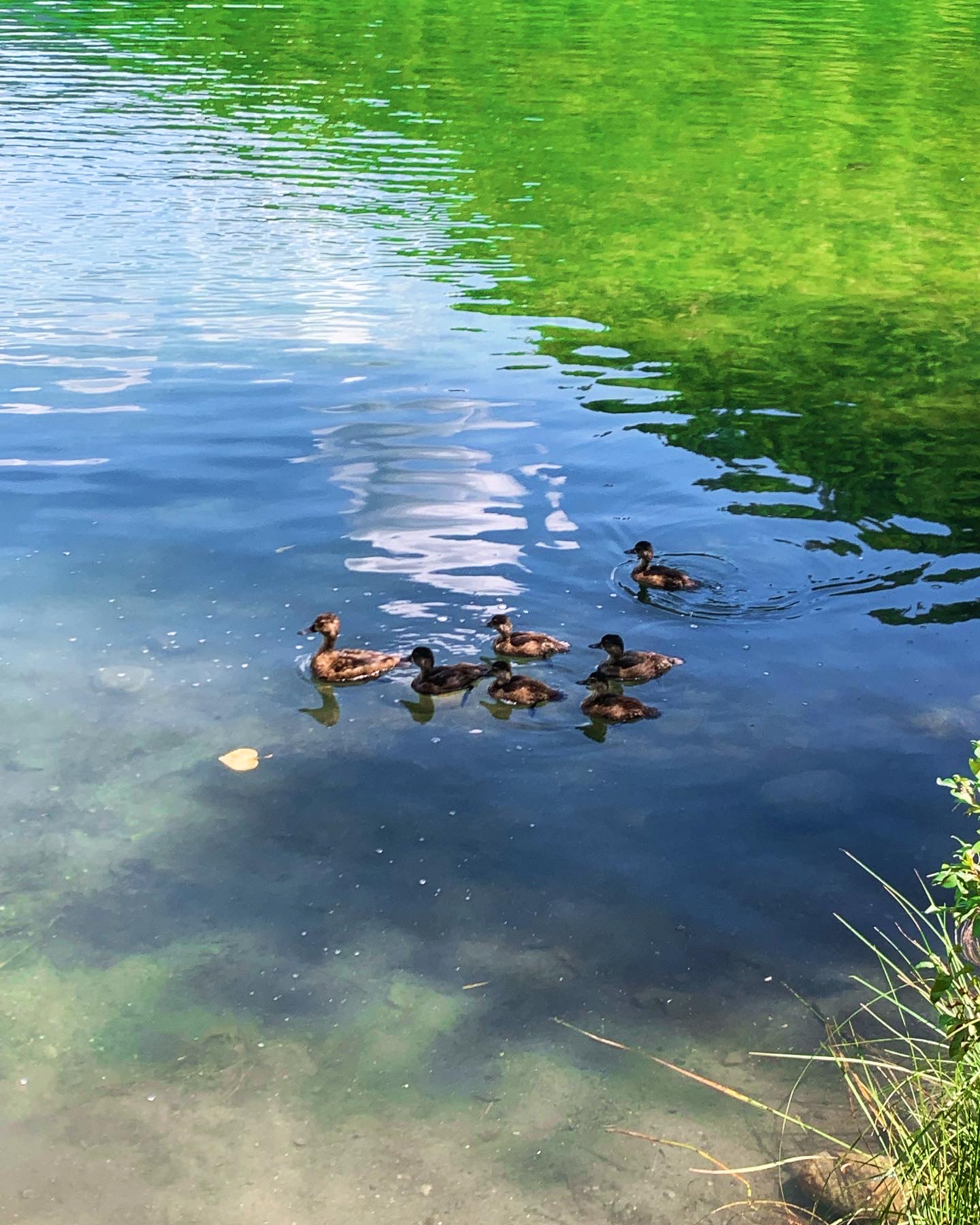 Rosebud Lake Campground Resort