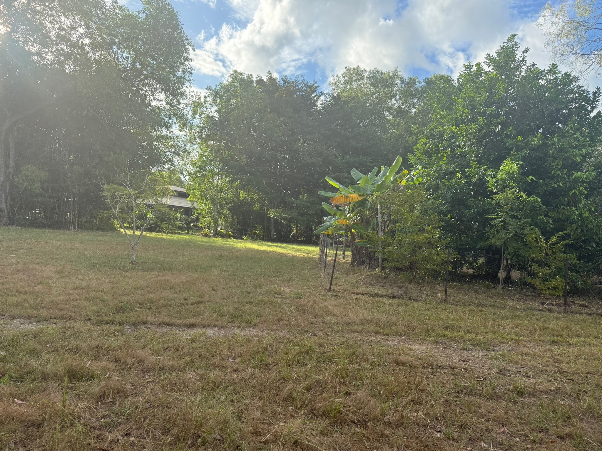 Bamboo Retreat