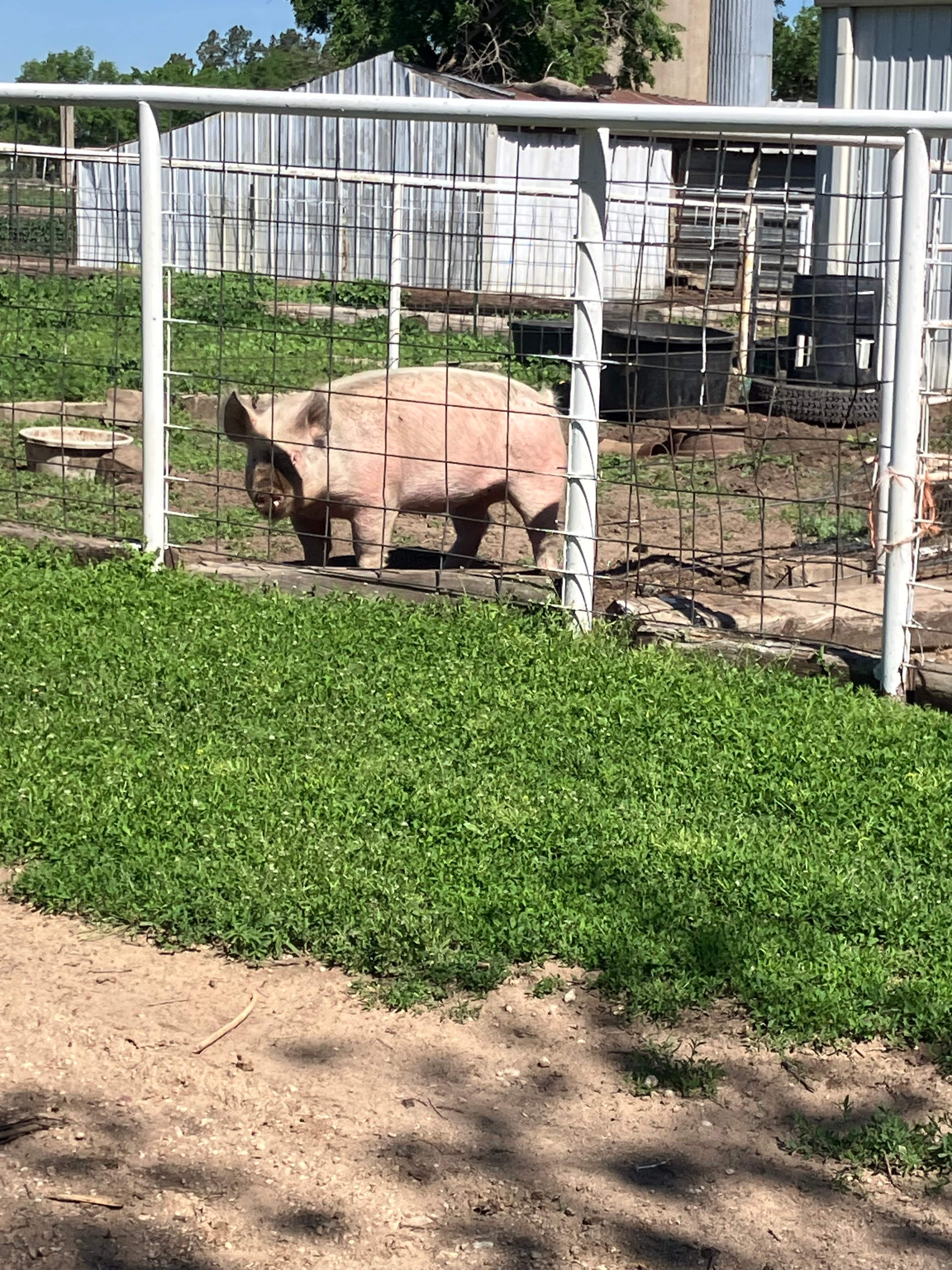 The Farm at Yoder