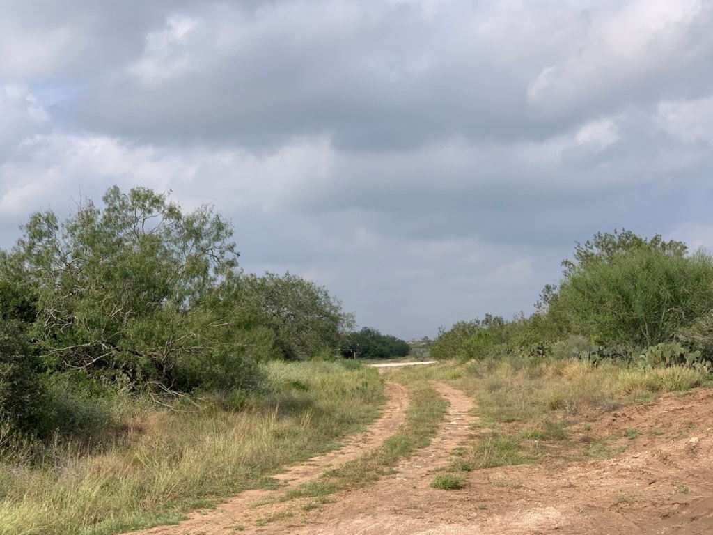 Wilderness "Forest Bathing" Site