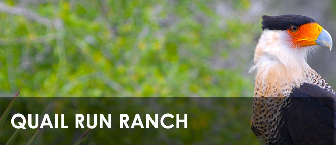 Wilderness "Forest Bathing" Site