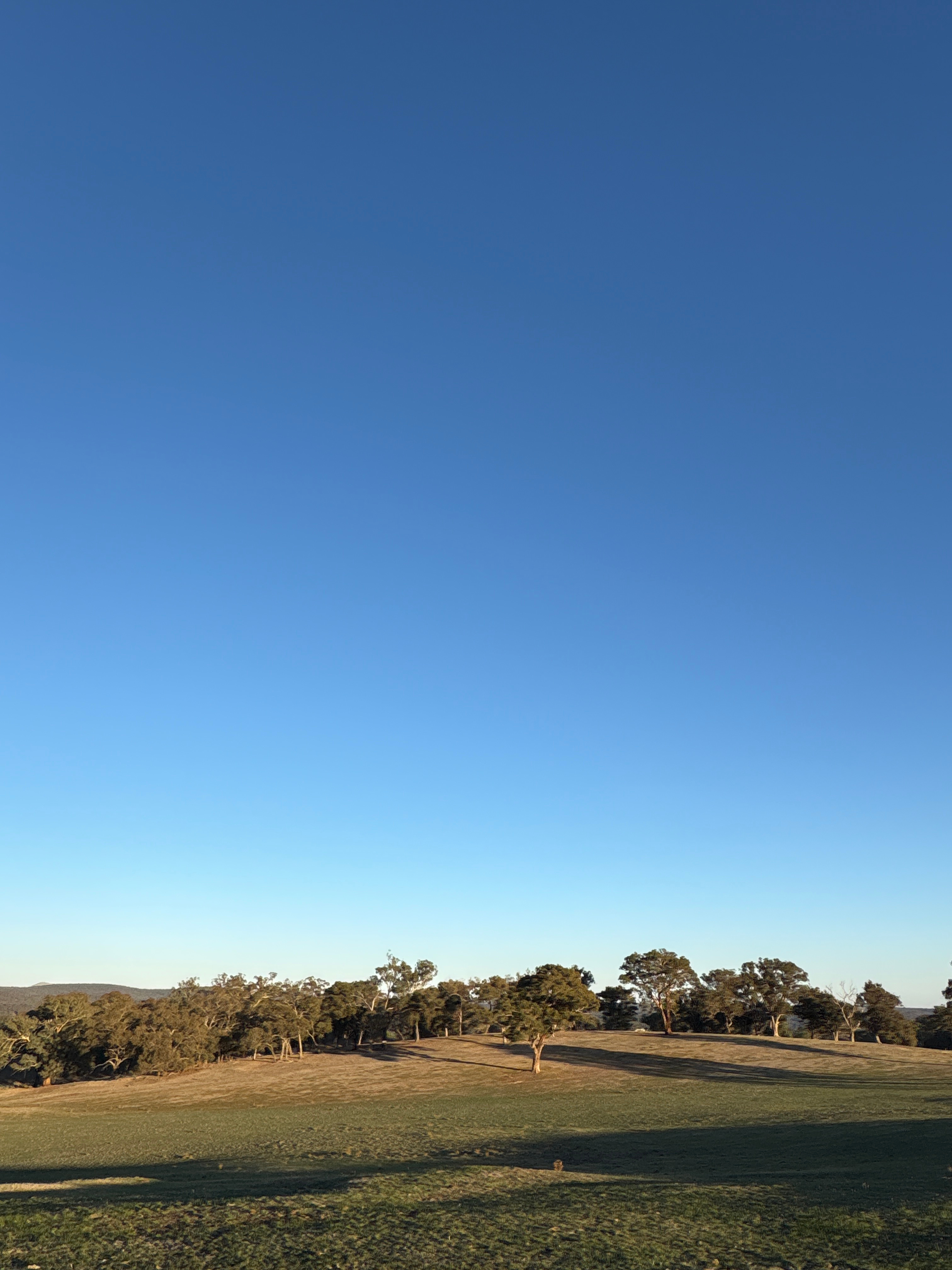 The Mount