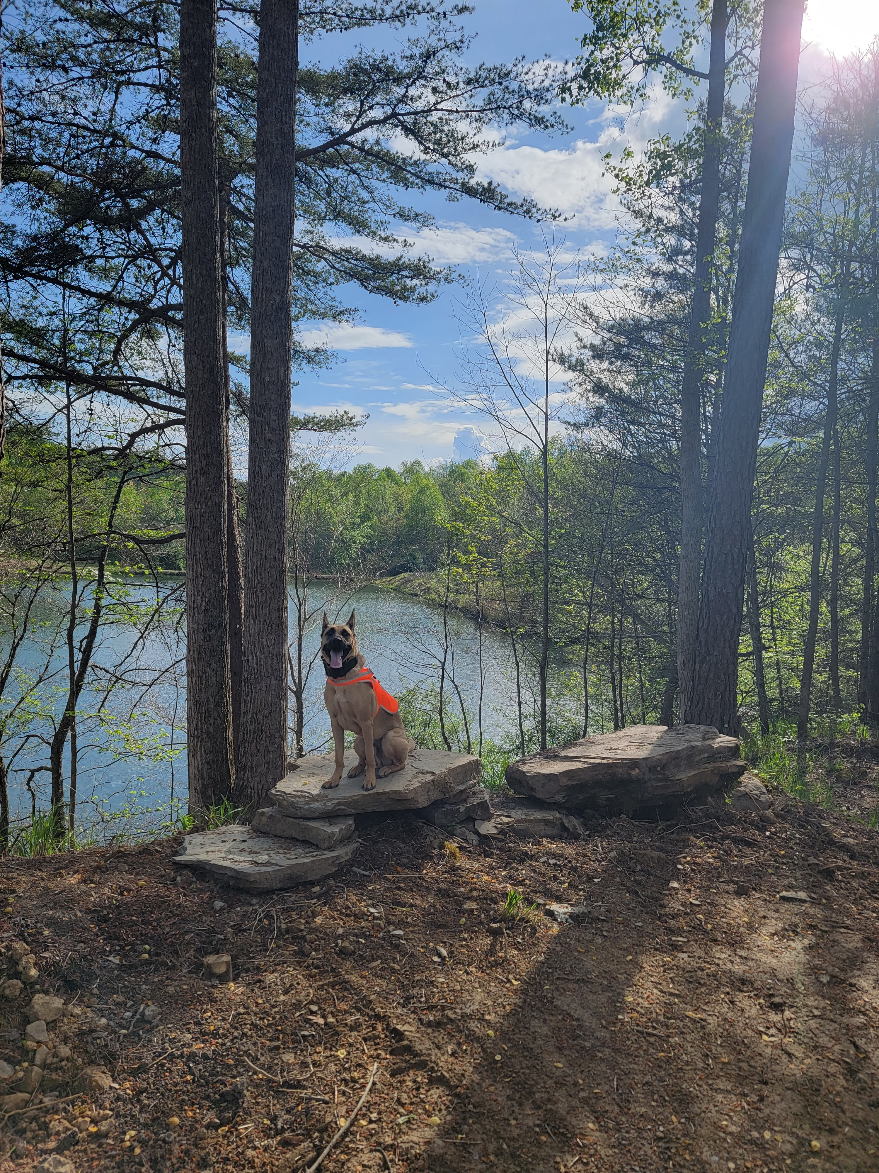 Pond Overlook is Gunner-approved